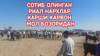 СОТИБ ОЛИНГАН РЕАЛ НАРХЛАР КАРШИ КАРВОН МОЛ БОЗОРИДАН