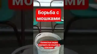 БОРЬБА С МОШКАМИ. ЭКОЛОГИЧЕСКИ ЧИСТЫЙ ДЕДОВСКИЙ МЕТОД ОБРАБОТКИ ТОМАТОВ