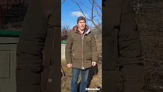 Обрізка вишні-плодові бруньки