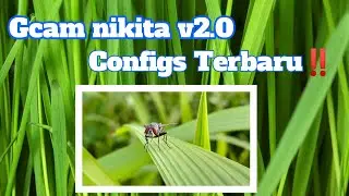 Terbaru‼️ mantull || gcam nikita v2.0 Configs 🌿arkana🌿