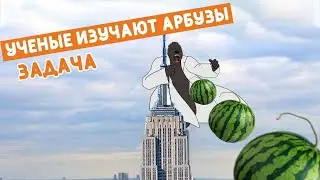 Учёные бросают арбузы из окон небоскрёба. Бинарный поиск.