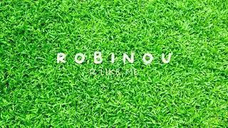 Robinou - R Like Me (Official Audio)