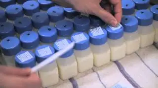 Donating Breast Milk Part 1