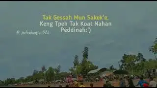 story wa kerapan sapi madura terbaru 2022