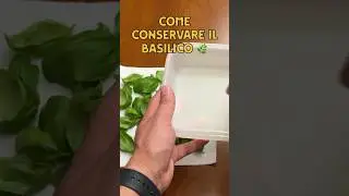 COME CONSERVARE IL BASILICO IN MODO SEMPLICE 🌿 #basilico #giardinaggio #coltivarepomodori