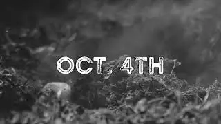 Only a few days away…