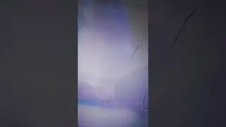 шакалы(в описании объяснение что это вообще такое