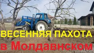 #41 Переезд из Латвии в Россию. Мечта сбылась.
