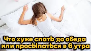 Что хуже спать до обеда или просыпаться в 6 утра