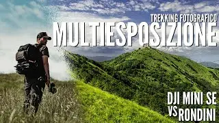 Trekking Fotografico  - DJI Mini SE vs Rondini! (post produzione)