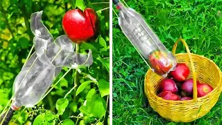 Outstanding Gardening Hacks For Every Household