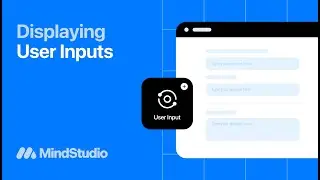 Displaying User Inputs