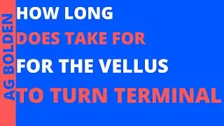 how long does it take for vellus hairs to become terminal