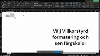 Hur man lägger till färgskala i en sorterad lista i excel