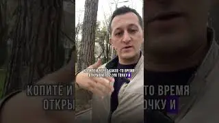 ДДЛ или своими $$$? 🤔