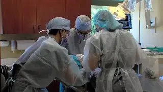Local oral surgeon advises patients to not take shortcuts on dental implants