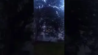 Бендеры Солнечный БАМ в нороде снимали поле березовой рощи Май 2023 год