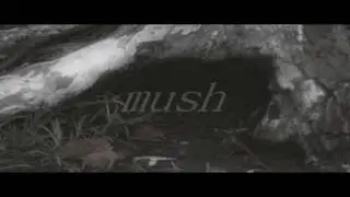 mush