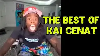 The Best of AMP (FUNNY MOMENTS)