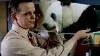 Panda Snickers Commercial! Really Funny