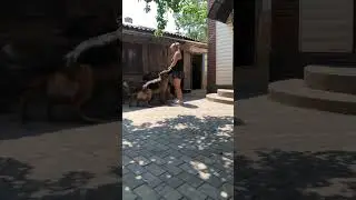 Больше всех обрадовался Ред🤣🫶❤️‍🔥🥰