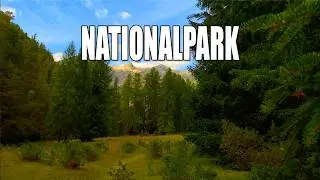 Margun Grimmels - kurze Rundwanderung im 🇨🇭 Nationalpark - 4K short video