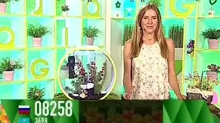 Татьяна Козина - "Счастливый час" (21.06.16)