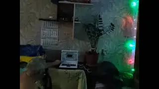 Отправить