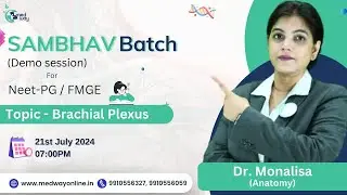 Anatomy - Demo Session 