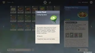 RUSH TO FIND LOTUS HEAD? (GENSHIN IMPACT)