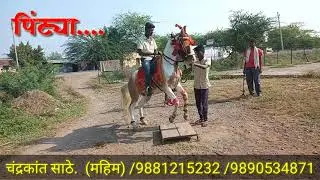 महिम चा पिंट्या प्रेमी