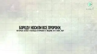 Бороду носили  все пророки