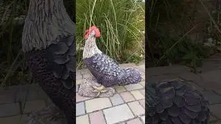 петошок из артбетона