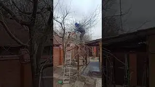 обрезка