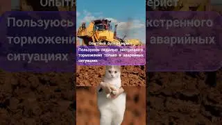 Когда элементы бортового фрикциона быстро изнашиваются 