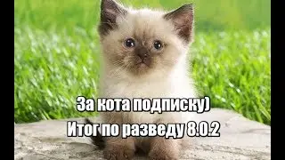Итого по луку 8.0.2
