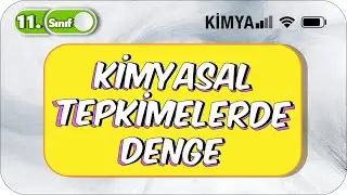 Dengeye Etki Eden Faktörler | 11. Sınıf Kimya  #2023