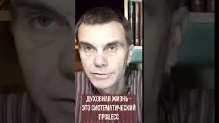 Духовная жизнь - это систематический процесс. Вишну-таттва дас