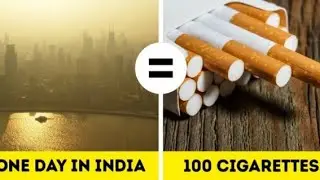 Fakta Unik India!Fakta Dunia Harus Kamu Ketahui