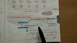 Chromosome Walking Technique l easy to learn l complete notes