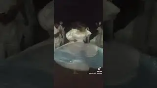 Ogum é cavaleiro de Umbanda, vencedor de demanda, jamais deixa filho tombar. 💙⛵🌊🗡️