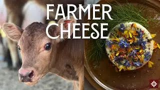 Farmer Cheese | WE'RE BACK IN MILK, BABY.