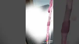 КРУТОЕ КОТЁНОК С LIKEE