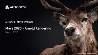Maya 2020 - Arnold Rendering