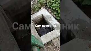 9 сентября 2023 г. святой источник.