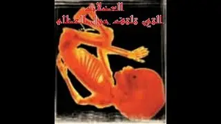 HSD Coran 23-سورة المؤمنون-آية 14--بصوت إدريس الحسني السبطي