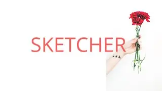 DripReport   Skechers Lyrics