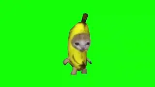 Running Banana Cat Meme Green Screen