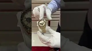 18k Gold Omega Speedmaster available now! #omega #watches #luxurywatch #watchshop #raleigh