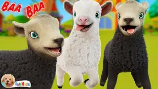 Baa Baa Black Sheep | Nursery Rhymes & Kids Songs | IshKids